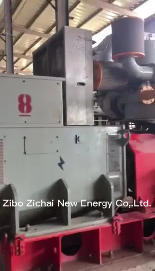 Planta de energía de grupo electrógeno de biogás de gas natural de energía renovable